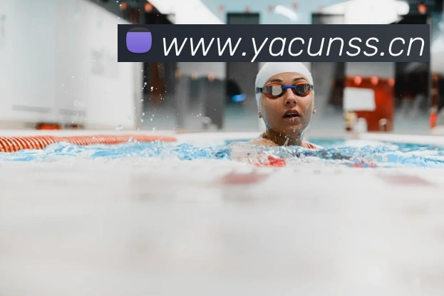 App Interface Preview