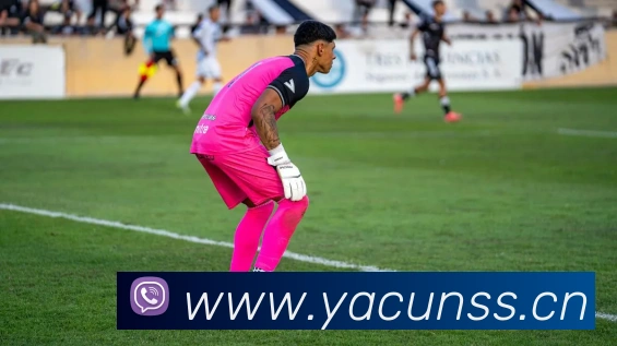 半岛网页版登录入口APP 封面图